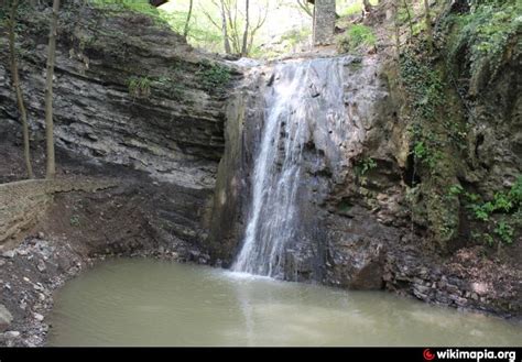 Zigana Şelalesi: Uma Cascata Espetacular que Vai Fazer Você Suspirar!