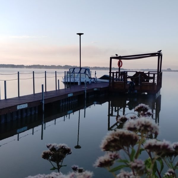 IMG_20230823_062745055