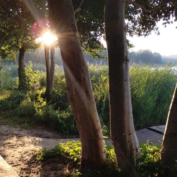 IMG_20230823_063927966