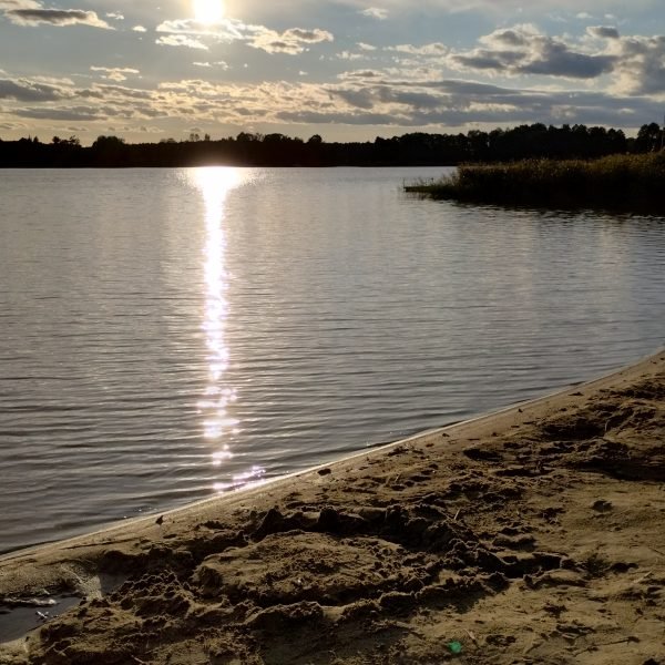 IMG_20231008_171739369_HDR