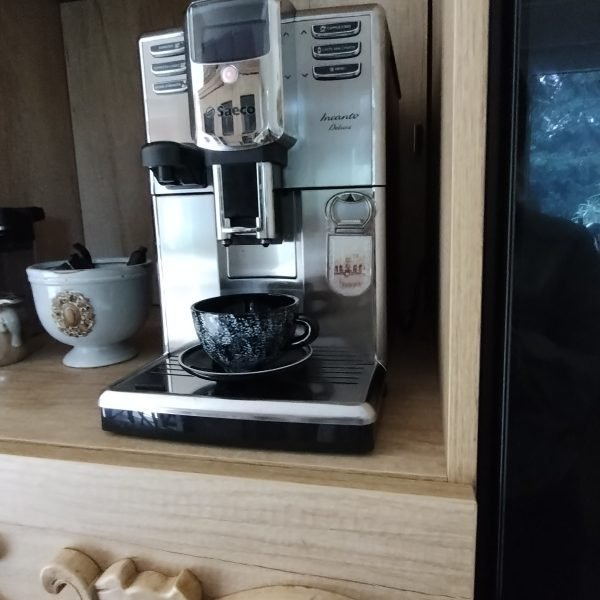 IMG_20240413_104542016